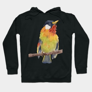 Colorful bird Hoodie